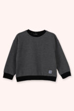 Erkek Bebek Yuvarlak Yaka Antrasit Sweatshirt - Resim 1