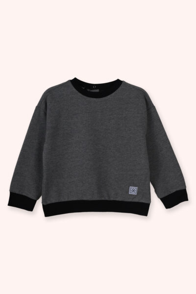 Erkek Bebek Yuvarlak Yaka Antrasit Sweatshirt - Resim 1