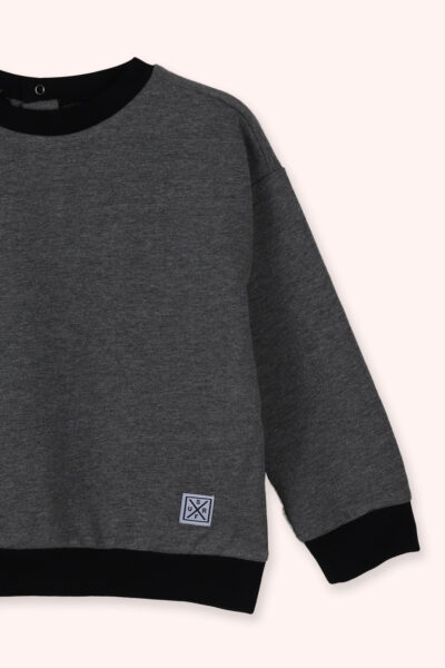 Erkek Bebek Yuvarlak Yaka Antrasit Sweatshirt - Resim 2